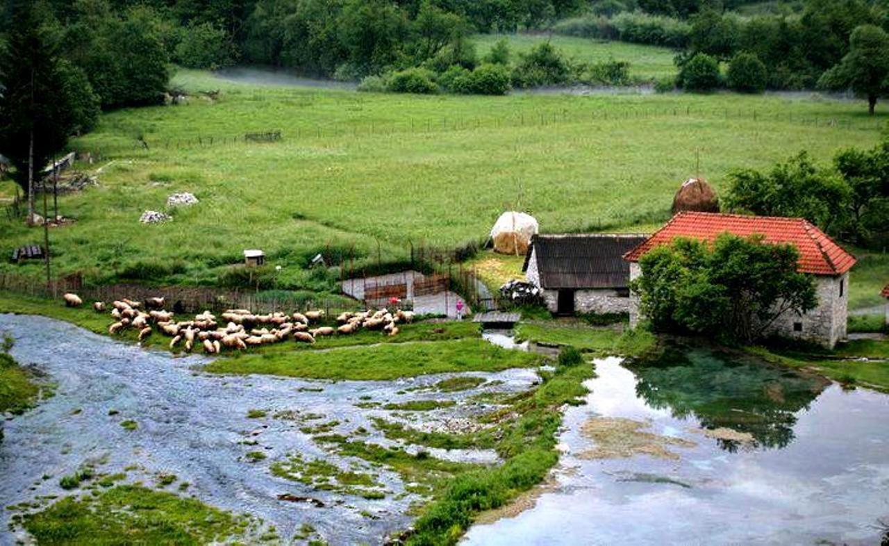 Отель Rosi 3*